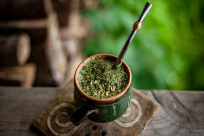 yerba mate w ciąży