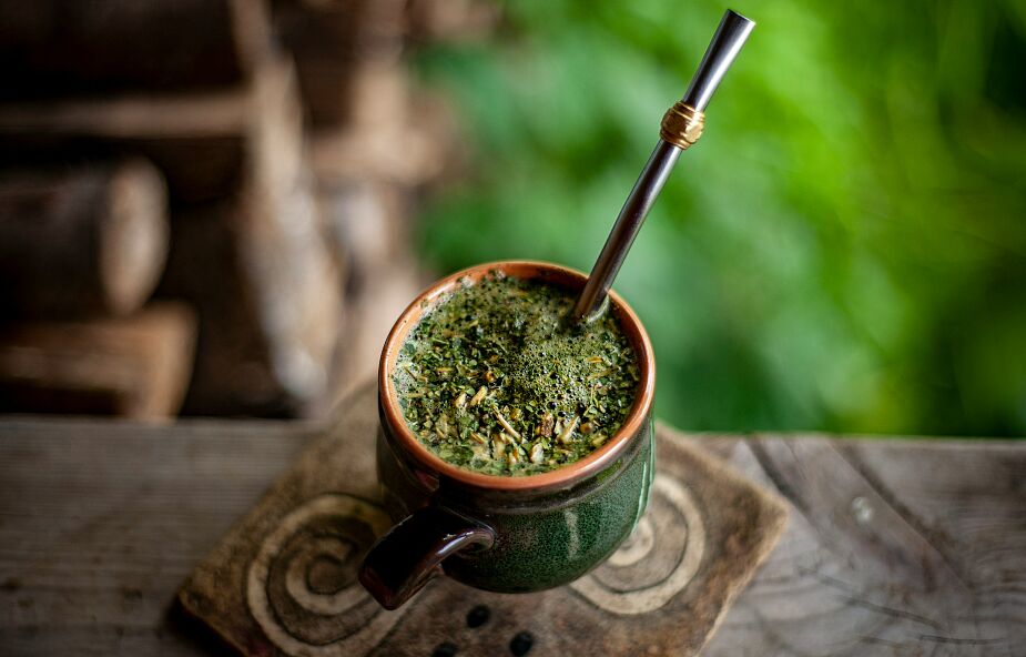 yerba mate w ciąży